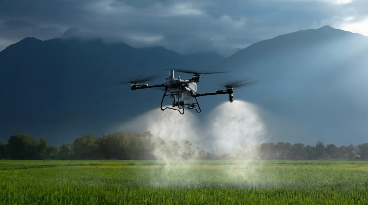 Agriculture par drone — illustration Corse Drone